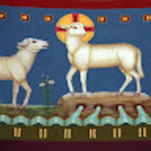 Meet your Posher, Xavier